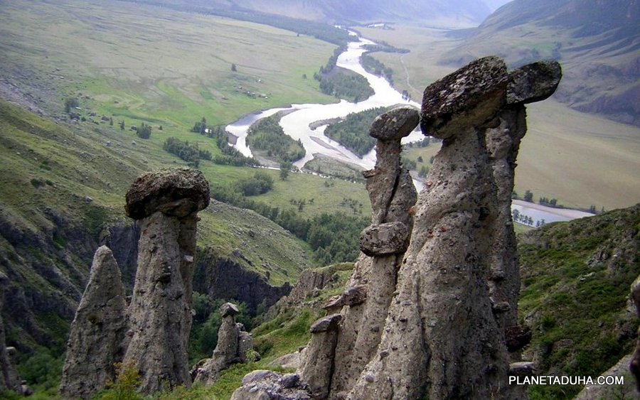 Каменные грибы - урочище Аккурум (Ак-Корум) - Горный Алтай